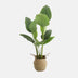 Faux Palm Leaf Plant in Basket