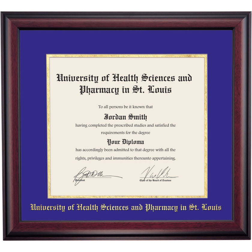 Doctorate Diploma University of Health Sciences and Pharmacy in St