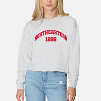 Northeastern Established Crewneck