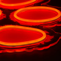 Clemson Neon Sign