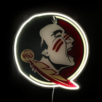 Florida State Neon Sign