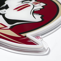 Florida State Neon Sign