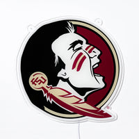 Florida State Neon Sign