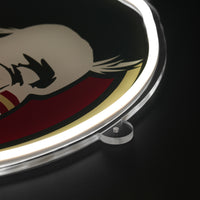 Florida State Neon Sign