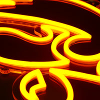 Iowa Neon Sign