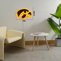 Iowa Neon Sign