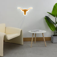 Texas Neon Sign