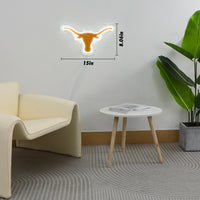 Texas Neon Sign