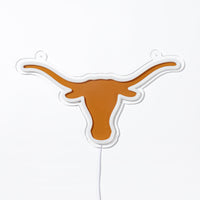 Texas Neon Sign