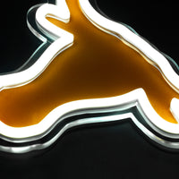Texas Neon Sign