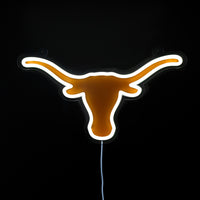 Texas Neon Sign