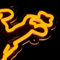 Wyoming Neon Sign