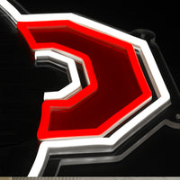 Ohio State Neon Sign