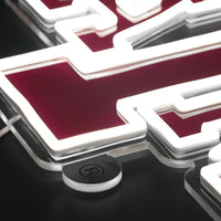 Texas A&M Neon Sign