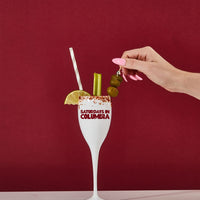 South Carolina, College Town Saturdays Plastic Champagne Flutes, Set of 2