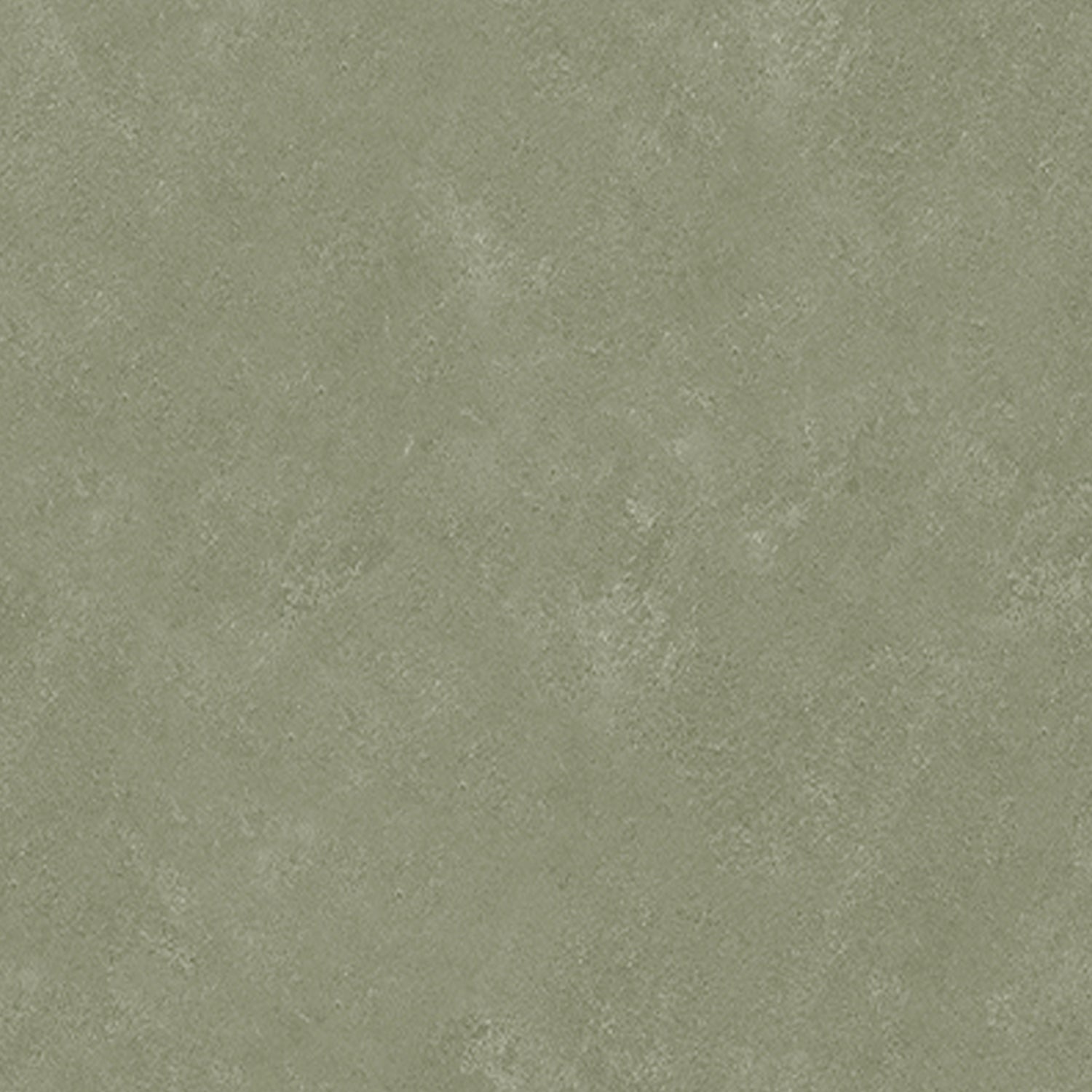 Daphne Limewash Peel and Stick Wallpaper | Dorm Essentials - Dormify