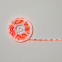 Multicolored LED Strip Lights