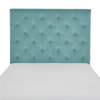 visualizer teal