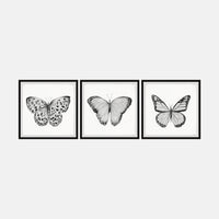 Butterfly Framed Art Set
