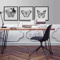 Butterfly Framed Art Set