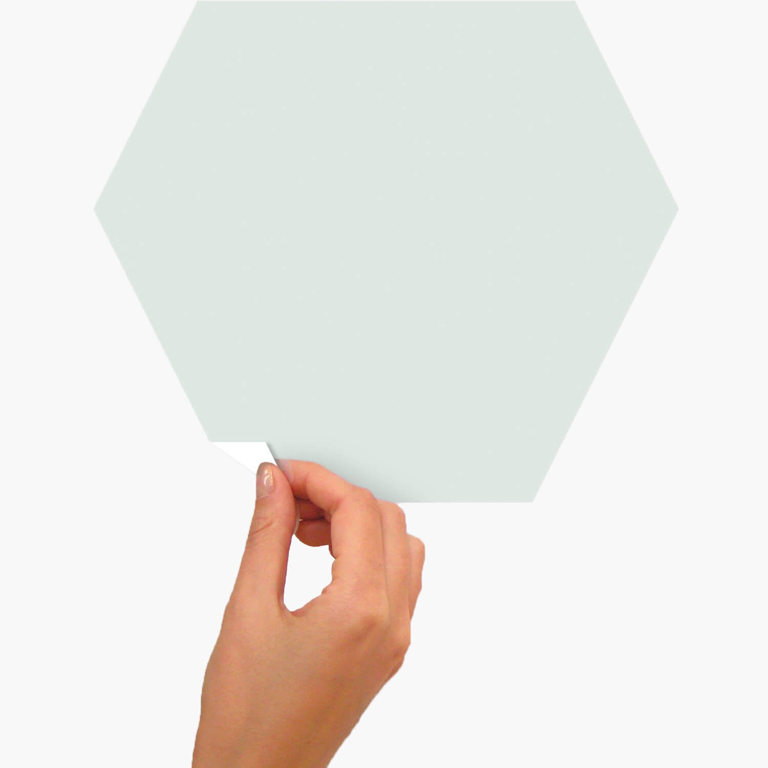 Hexagon Dry Erase Wall Decals Dorm Essentials Dormify