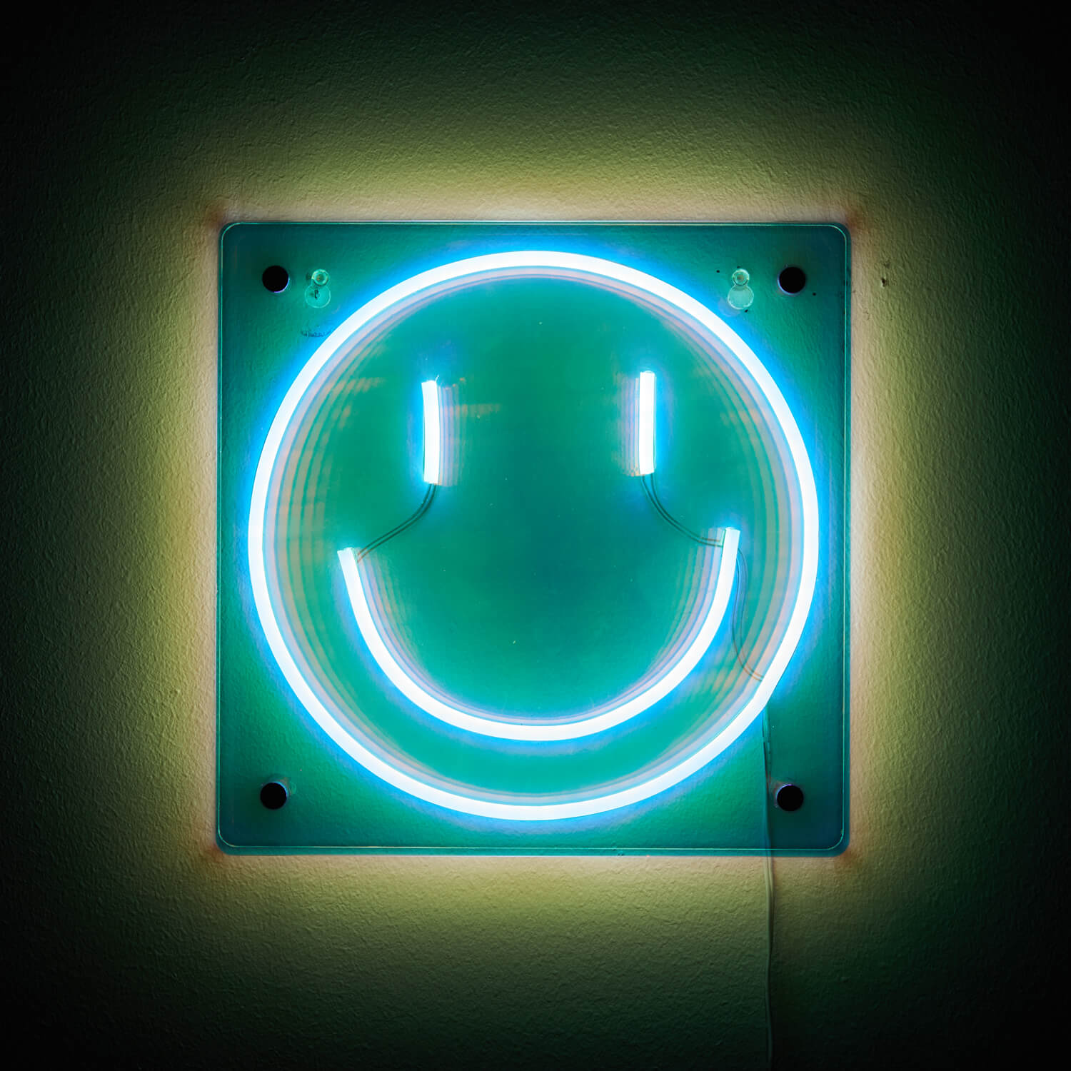 Dormify neon best sale signs